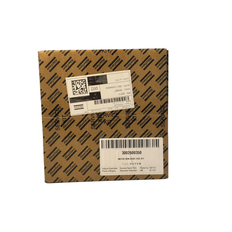 Original 3002600350 Atlas Copco Motor Kit lateral non -antrenare pentru compresoare cu șuruburi injectate cu ulei