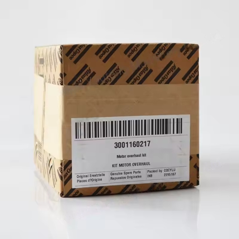 3001160217 Atlas Copco Air Compresor Piese de schimb Revizuire Motor