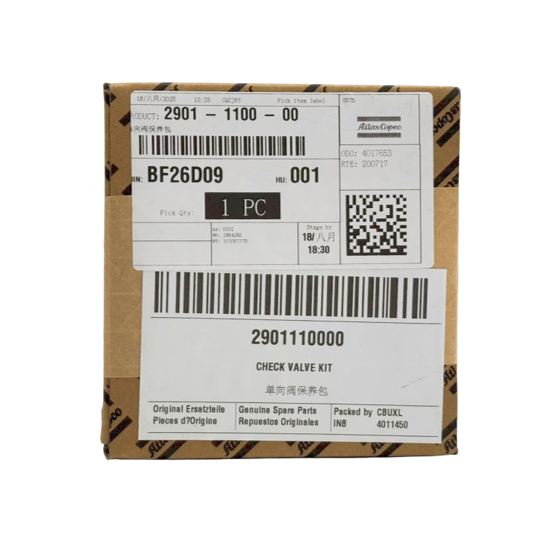 2901110000 Atlas Copco Air Compresor Set de verificare a supapei